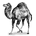 perl_128px.png